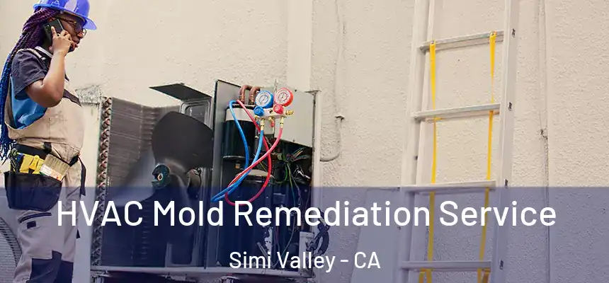  HVAC Mold Remediation Service Simi Valley - CA