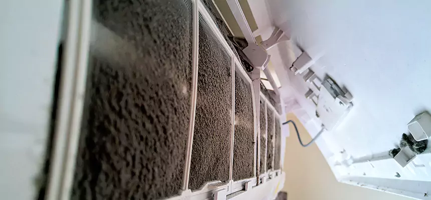 Preventive Air Duct Bacteria Removal in Simi Valley