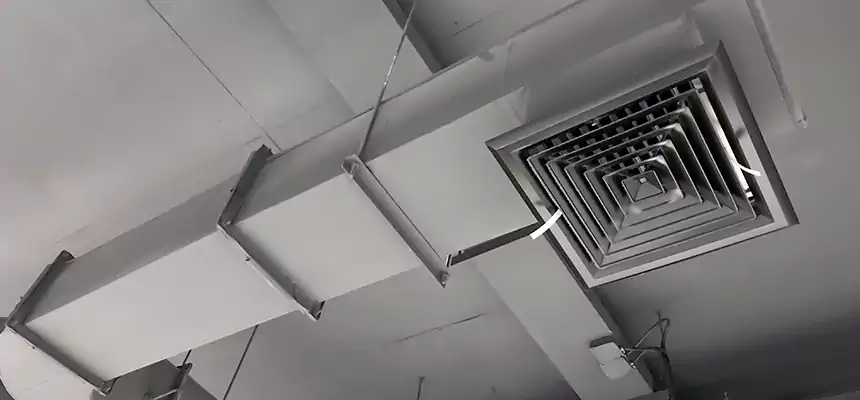 Our Pest Removal From Ducts Services in Simi Valley, CA