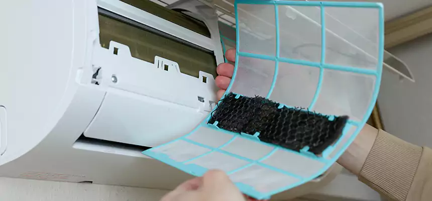 Gentle Ductwork Odor-Control Pet Dander Duct Cleaning in Simi Valley, CA