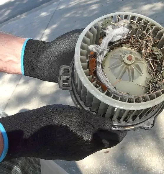 About Air Duct Rat Removal in Simi Valley, CA