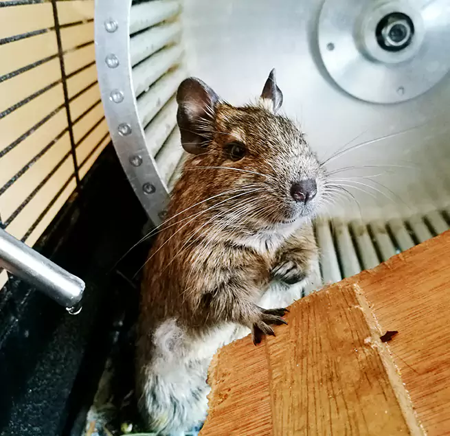 Why Homeowners & Businesses Trust Us Simi Valley, CA?